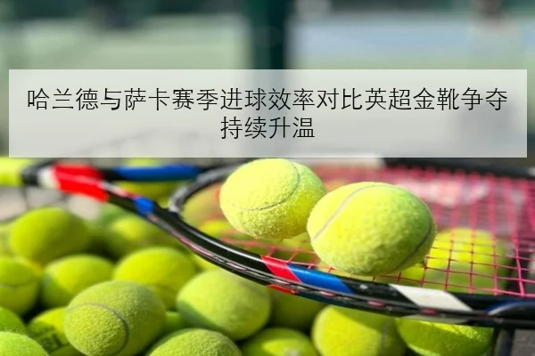 哈兰德与萨卡赛季进球效率对比英超金靴争夺持续升温